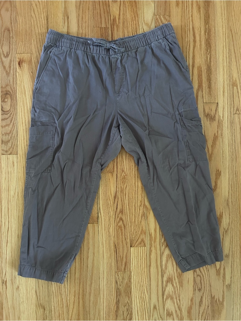 GAP Men's Purple Casual Jogger Pants